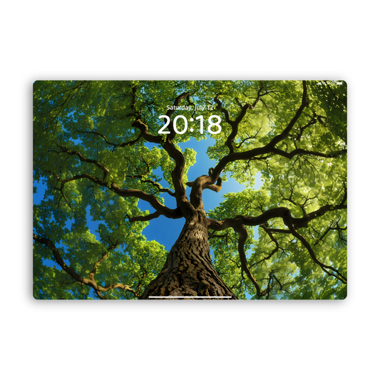 "Tree Embrace” Phone Wallpaper