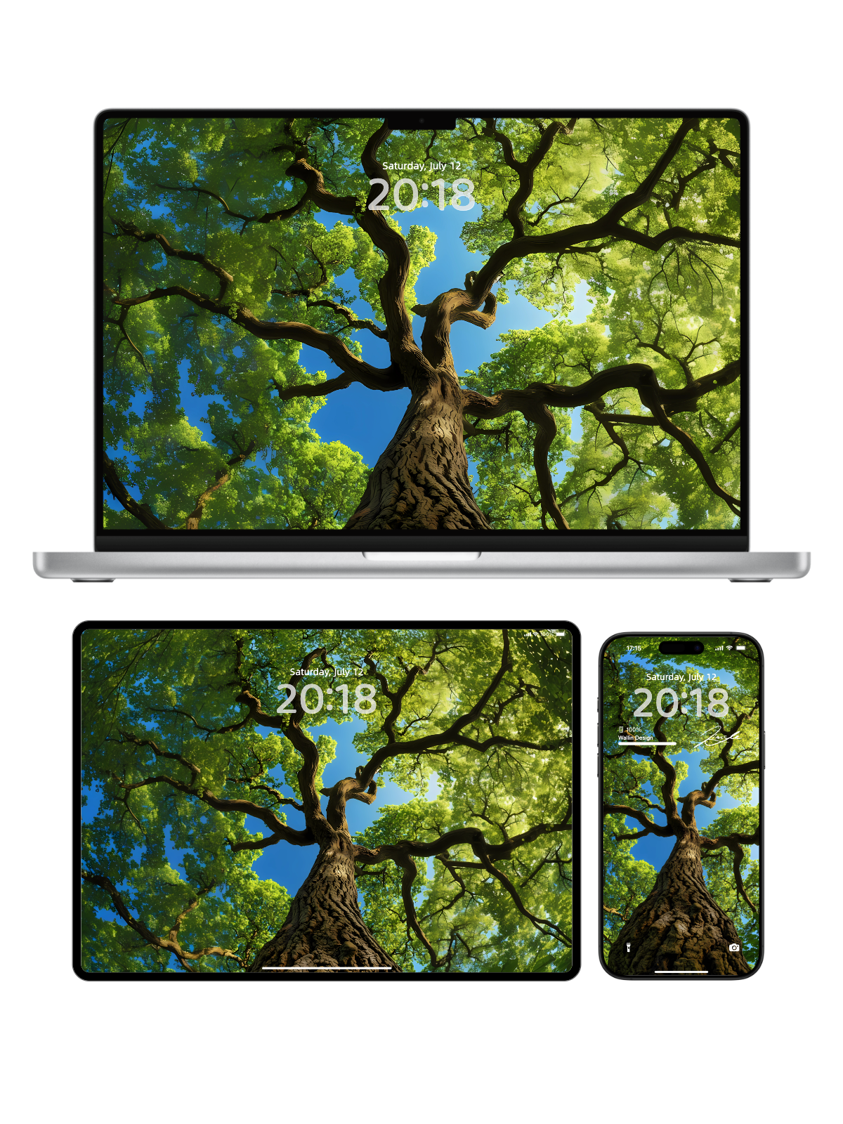 "Tree Embrace” Phone Wallpaper