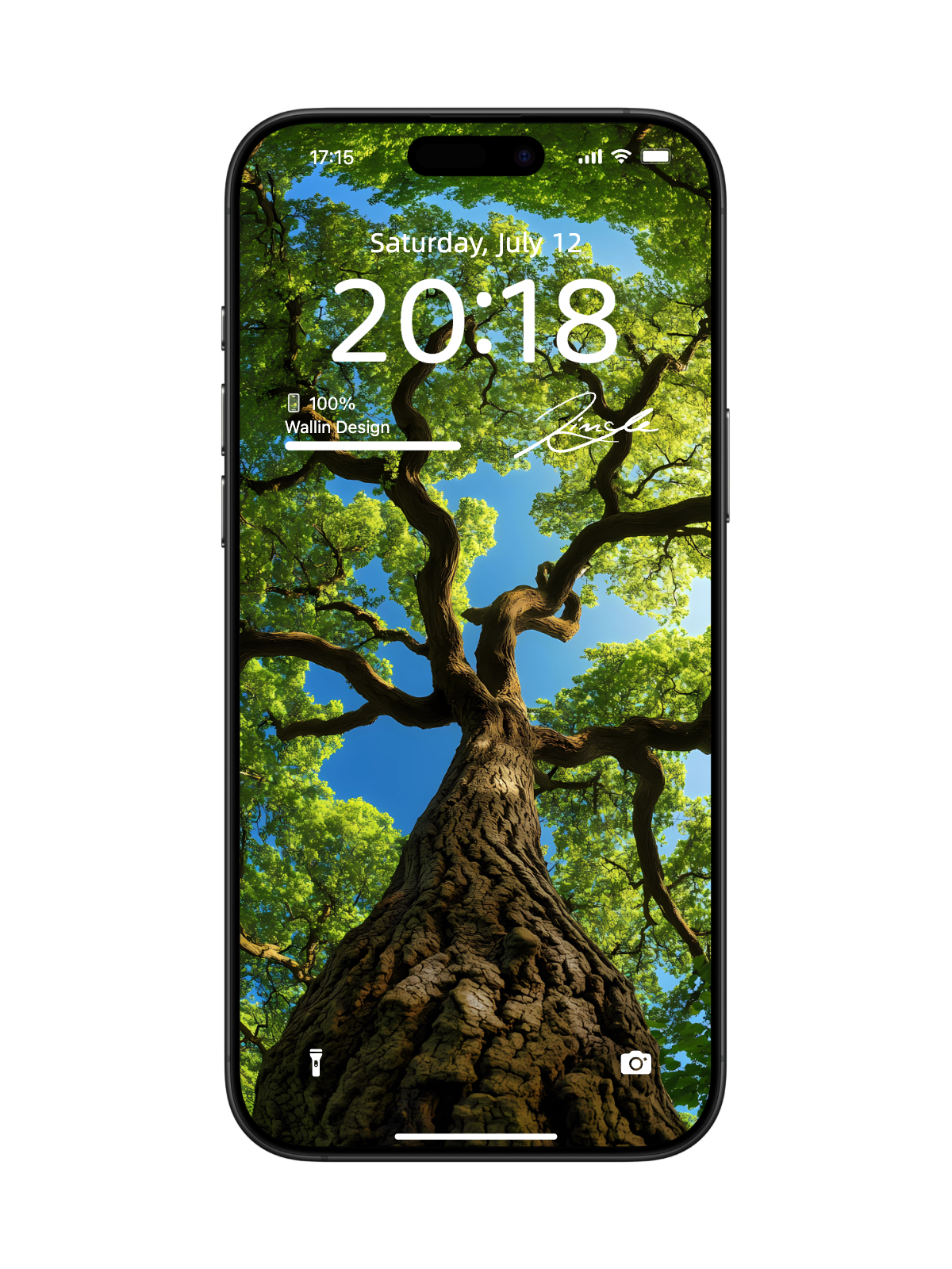 "Tree Embrace” Phone Wallpaper