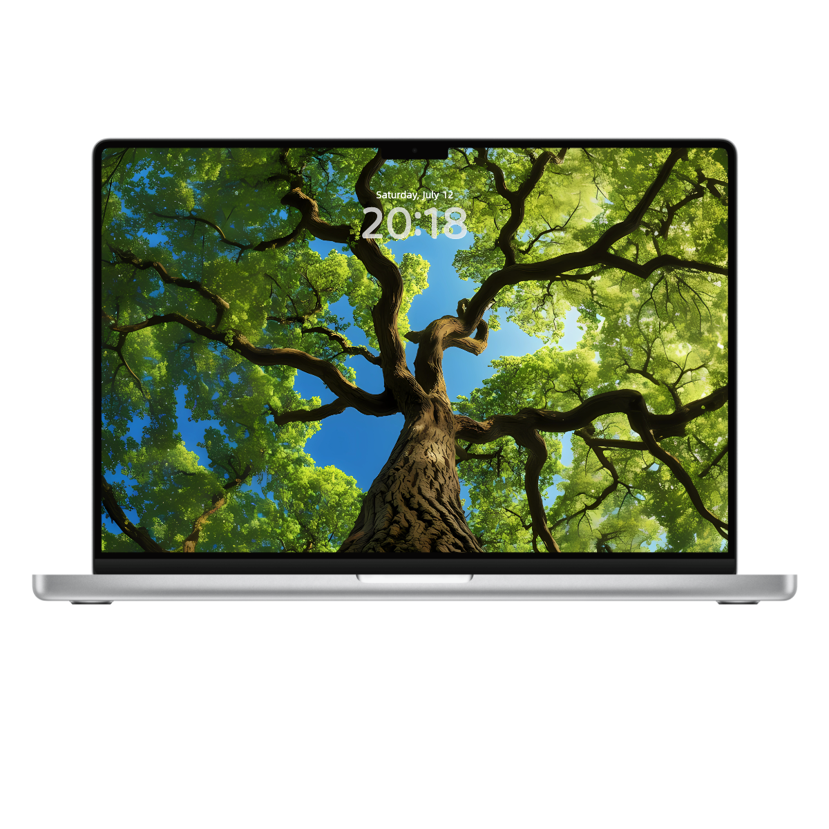 "Tree Embrace” Phone Wallpaper